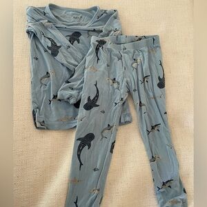 Kyte Baby Long Sleeve Pajamas, 3T, shark print
